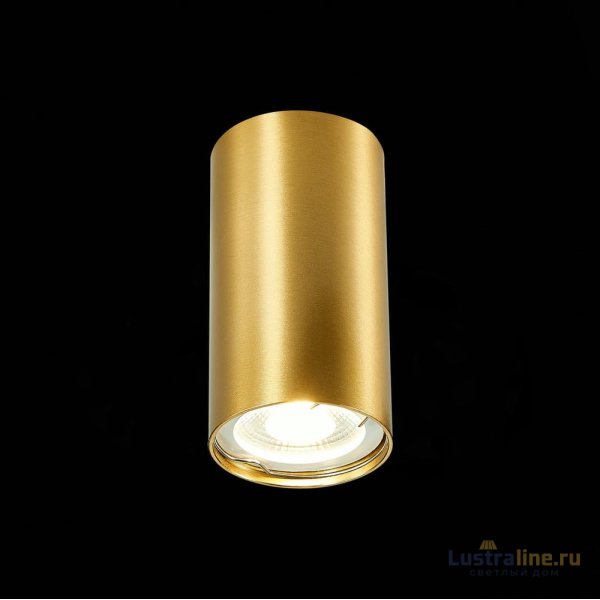Накладной светильник ST Luce ST110 ST110.207.01 Накладной светильник ST Luce ST110 ST110.207.01