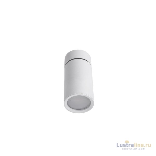 Накладной светильник Lucia Tucci Longo LTP-C007-01GU10-W