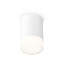 Потолочный светильник Ambrella Light Techno Spot XS7421023 (C7421, N7160)