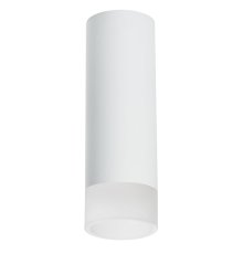 Накладной светильник Lightstar Rullo R48631 (214486+202431)