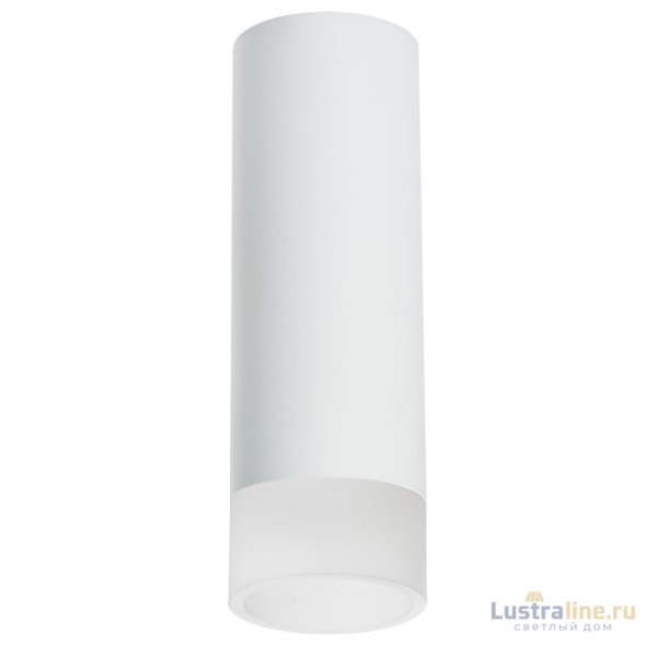Накладной светильник Lightstar Rullo R48631 (214486+202431)