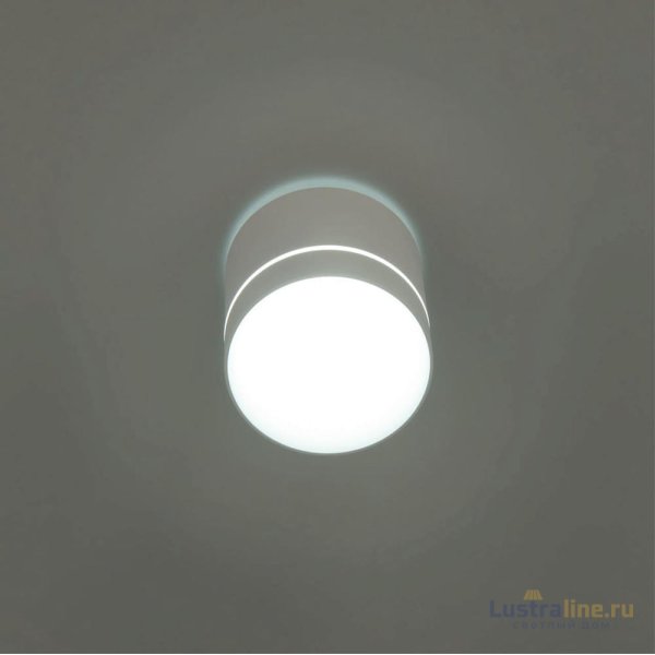 Накладной светильник Citilux Борн CL745020N