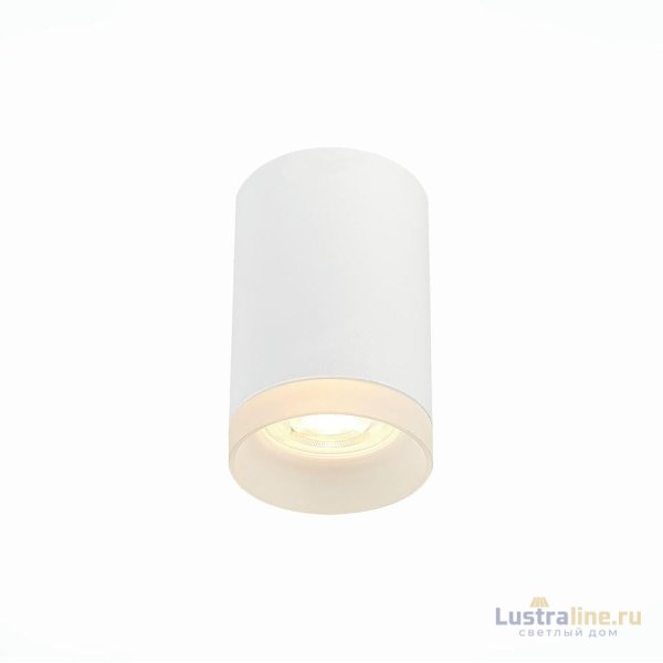 Накладной светильник ST Luce ST100 ST100.502.01 Накладной светильник ST Luce ST100 ST100.502.01