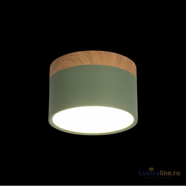 Накладной светильник Loft IT Grape 10162 Green Накладной светильник Loft IT Grape 10162 Green