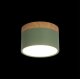 Накладной светильник Loft IT Grape 10162 Green