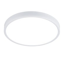 Потолочный светодиодный светильник Elektrostandard DLR034 24W 4200K 4690389134616