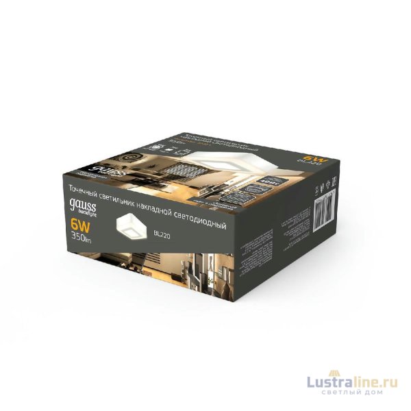 Потолочный светодиодный светильник Gauss Backlight BL220