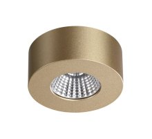 Потолочный светильник Odeon Light Bene 4284/7CL