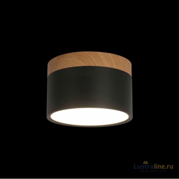 Накладной светильник Loft IT Grape 10162 Black Накладной светильник Loft IT Grape 10162 Black
