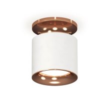 Накладной светильник Ambrella Light Techno XS7401142 (N7930, C7401, N7015)