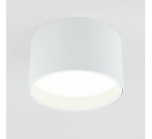 Накладной светильник Elektrostandard Banti 4690389196737 a063927