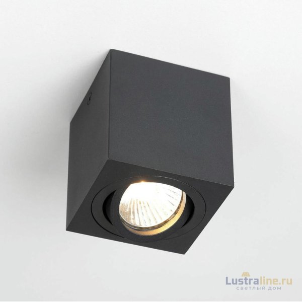 Накладной светильник Citilux Дюрен CL538213 Накладной светильник Citilux Дюрен CL538213