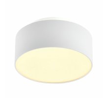 Накладной светильник ST Luce ST166.532.17