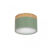 Накладной светильник Loft IT Grape 10162 Green