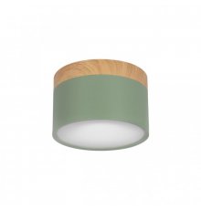 Накладной светильник Loft IT Grape 10162 Green
