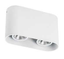 Накладной светильник Lightstar Rullo 214866