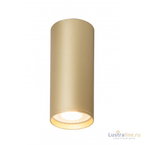 Накладной светильник Denkirs Tube DK2051-SG