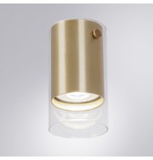 Накладной светильник Arte Lamp Lazio A5365PL-1SG