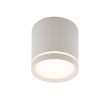 Накладной светильник Denkirs DK4016-WH