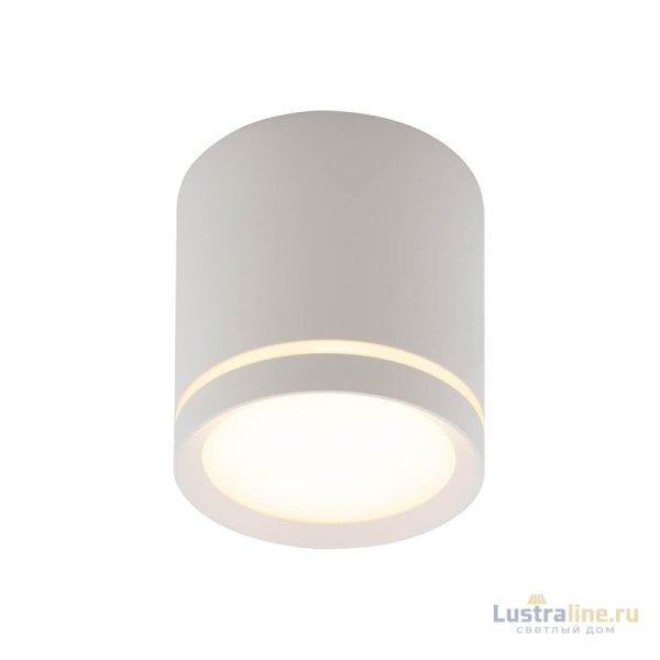 Накладной светильник Denkirs DK4016-WH Накладной светильник Denkirs DK4016-WH
