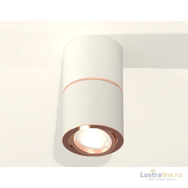 Потолочный светильник Ambrella Light Techno Spot XS7401220 (C7401, A2073, C7401, N7005)