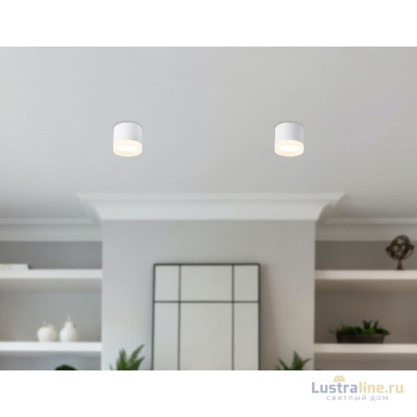 Накладной светильник Ambrella Light Acrylic Frost TN5365 Накладной светильник Ambrella Light Acrylic Frost TN5365