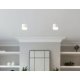 Накладной светильник Ambrella Light Acrylic Frost TN5365