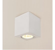 Потолочный светильник Citilux Дюрен CL538211