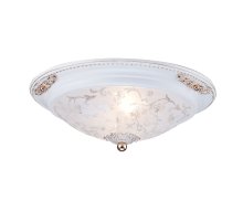 Потолочный светильник Maytoni Diametrik C907-CL-02-W