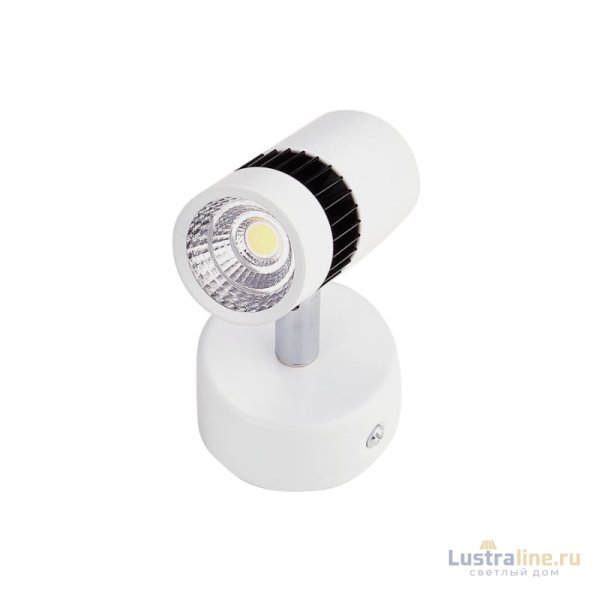 Накладной светильник Ambrella Light TN101/5W WH/BK