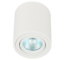 Накладной светильник Эра OL21 WH Б0054392