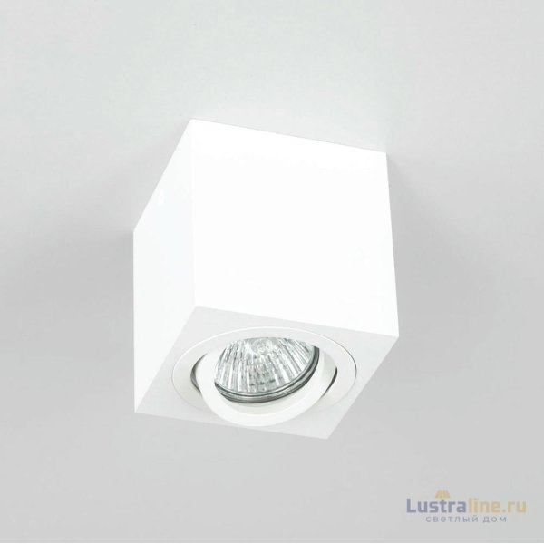 Потолочный светильник Citilux Дюрен CL538211 Потолочный светильник Citilux Дюрен CL538211