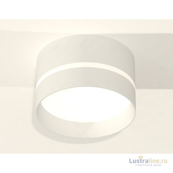 Потолочный светильник Ambrella Light Techno Spot XS8101020 (C8101, N8461)