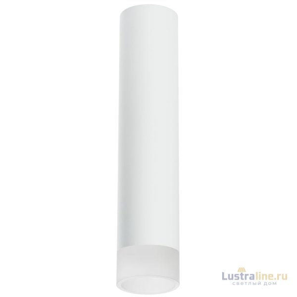 Накладной светильник Lightstar Rullo R49631 (214496+202431)