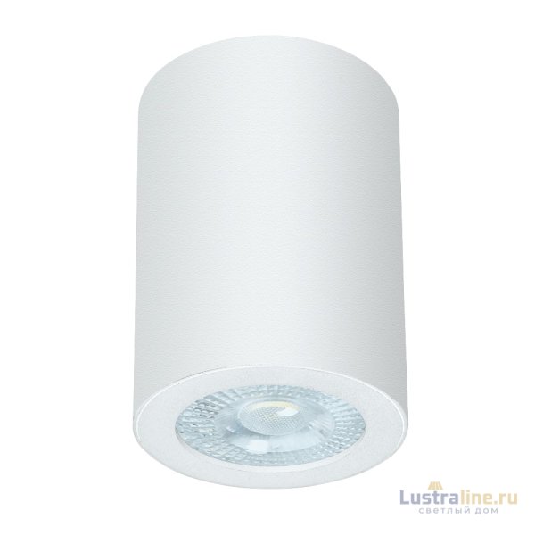 Накладной светильники Arte Lamp Tino A1468PL-1WH