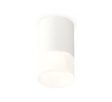 Потолочный светильник Ambrella Light Techno Spot XS7421025 (C7421, N7170)