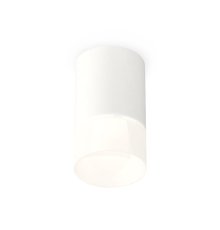 Потолочный светильник Ambrella Light Techno Spot XS7421025 (C7421, N7170)