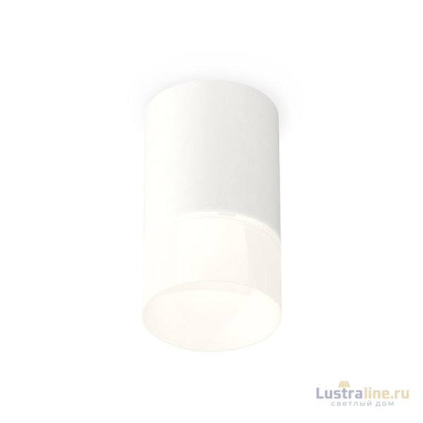 Потолочный светильник Ambrella Light Techno Spot XS7421025 (C7421, N7170) Потолочный светильник Ambrella Light Techno Spot XS7421025 (C7421, N7170)