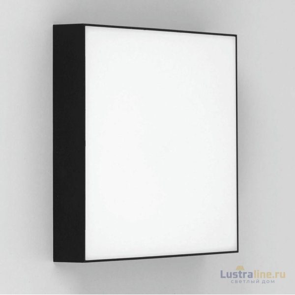 Накладной светодиодный светильник Citilux Тао CL712X242N