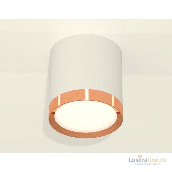 Потолочный светильник Ambrella Light Techno Spot XS8141005 (C8141, N8126)
