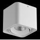 Потолочный светодиодный светильник Lightstar Monocco 052316
