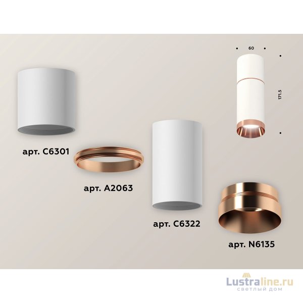 Потолочный светильник Ambrella Light Techno Spot XS6322063 (C6301, A2063, C6322, N6135) Потолочный светильник Ambrella Light Techno Spot XS6322063 (C6301, A2063, C6322, N6135)