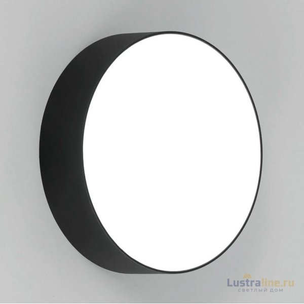 Накладной светодиодный светильник Citilux Тао CL712122N