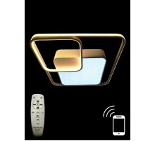 Потолочный светильник Natali Kovaltseva LED 81038/6C