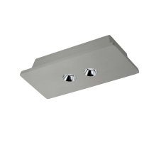 Потолочный светодиодный светильник Loft IT Architect OL1072-GH/2