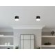 Накладной светильник Ambrella Light Acrylic Frost TN5366