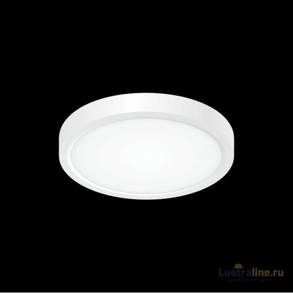 Накладной светильник Citilux CL738120N Накладной светильник Citilux CL738120N