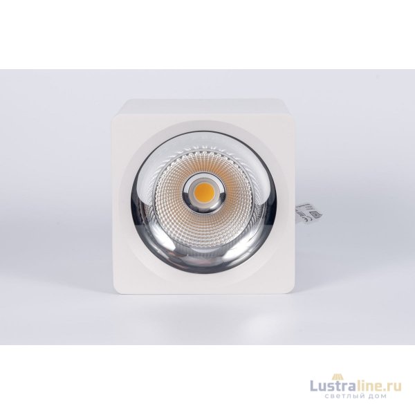 Накладной светильник Fiberli CH-SD230-1 12120102 Накладной светильник Fiberli CH-SD230-1 12120102