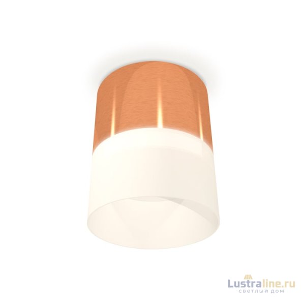 Потолочный светильник Ambrella Light Techno Spot XS8122011 (C8122, N8402)