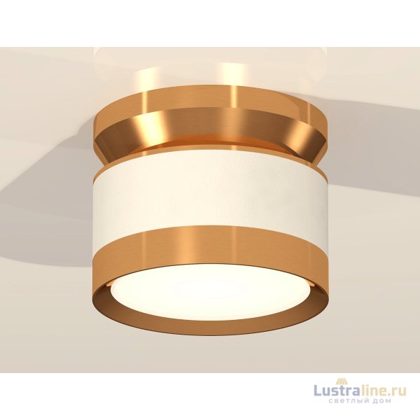 Потолочный светильник Ambrella Light Techno Spot XS8101060 (N8909, C8101, N8124)